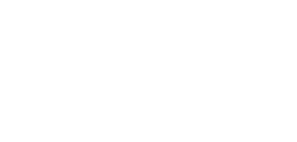 Movidaria